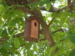 Singvogel-Nistkasten auf einer Pro Planet-Fläche