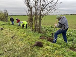 Heckenpflanzung am Ortsrand von Dünstekoven.