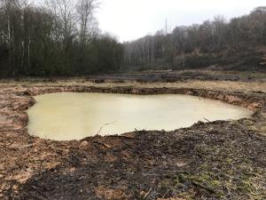 Frisch angelegtes Gewässer im Naturschutzgebiet Dünstekoven/Swisttal