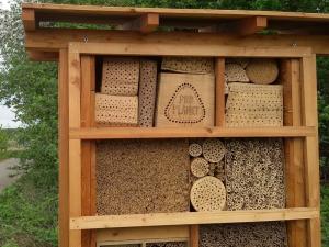 Insekten-Nistwand auf einer Pro Planet-Fläche