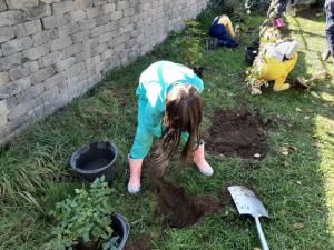Pflanzaktion der Kindergruppe in Swisttal Dünstekoven.