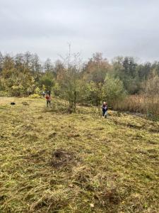 Mahd und Freistellung der artenreichen Magerwiesen im Steinbruch Dächelsberg