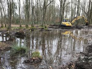 Baggerarbeiten am Jörm - einem Gewässerr am Waldrand bei Alfter-Gielsdorf