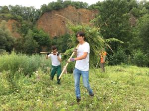 Sommermahd im Naturschutzgebiet Dächelsberg (Wachtberg)