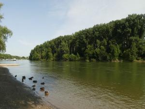 Das Herseler Werth ist die einzige völlig unzugängliche Rheininsel in der Region. Ihre Unterschutzstellung geht auf die Initiative des NABU Bonn zurück.