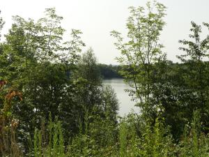 Die Unterschutzstellung des Herseler Sees - eine alte Kiesabgrabung - geht auf Initiative des NABU Bonn zurück
