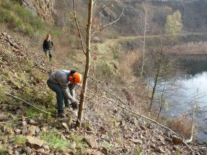 Pflegearbeiten in der Blockschutthalde des Basaltsteinbruchs Dächelsberg (Wachtberg)