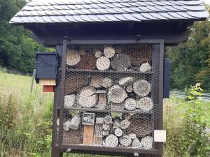 Insekten-Nistwand auf einer Pro Planet-Fläche