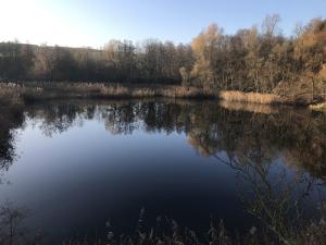 Der See im Basaltseinbruch Dächelsberg (Wachtberg)