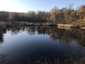 Der See im Basaltseinbruch Dächelsberg (Wachtberg)