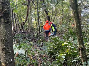 Die Maßnahme fand im Gehölzbereich entlang der Waldstraße statt. Die Arbeiten waren notwendig, weil sich Bäume im letzten Sturm bereits Richtung Straße geneigt haben.