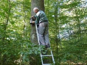 Nistkastenkontrolle im Rahmen des NABU Bonn-Trauerschnäpperprojektes