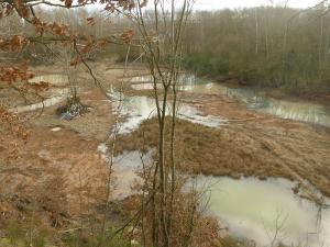 Die Dünstekovener Teiche - Winteransicht im Jahr nach der Neuanlage