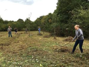 Pflege der NABU-Eigentumsfläche in Bornheim-Brenig