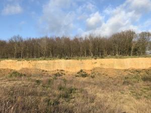 Südexponierte Steilwand im Naturschutzgebiet Dünstekoven/Swisttal