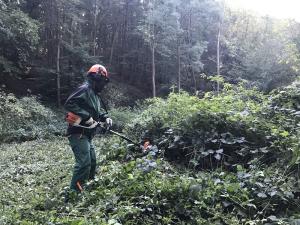 Mahd auf der Feuchtwiese am Schnellchesbach (Rheinbach)