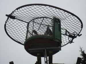 Die häufigste in Deutschland eingesetzte Greifvogelfalle - der Habichtfangkorb (Marburg)