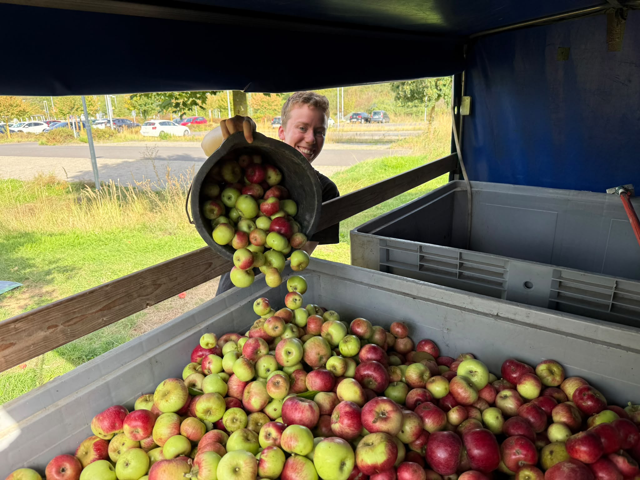 Die Ernte ist eingefahren