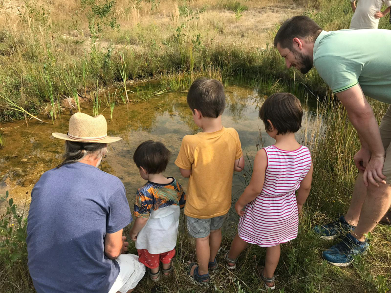 Gemeinsam Tiere und Pflanzen am Teich entdecken - die Familienangebote des NABU Bonn