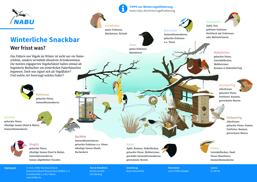 Naturtipps Winter - NABU - NRW